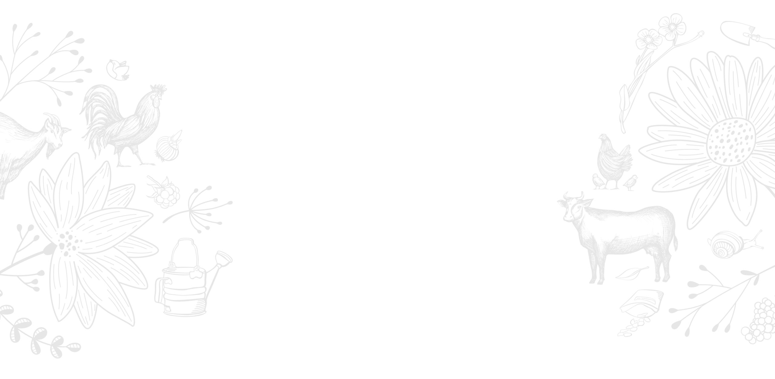 Home - Fattoria Rossi