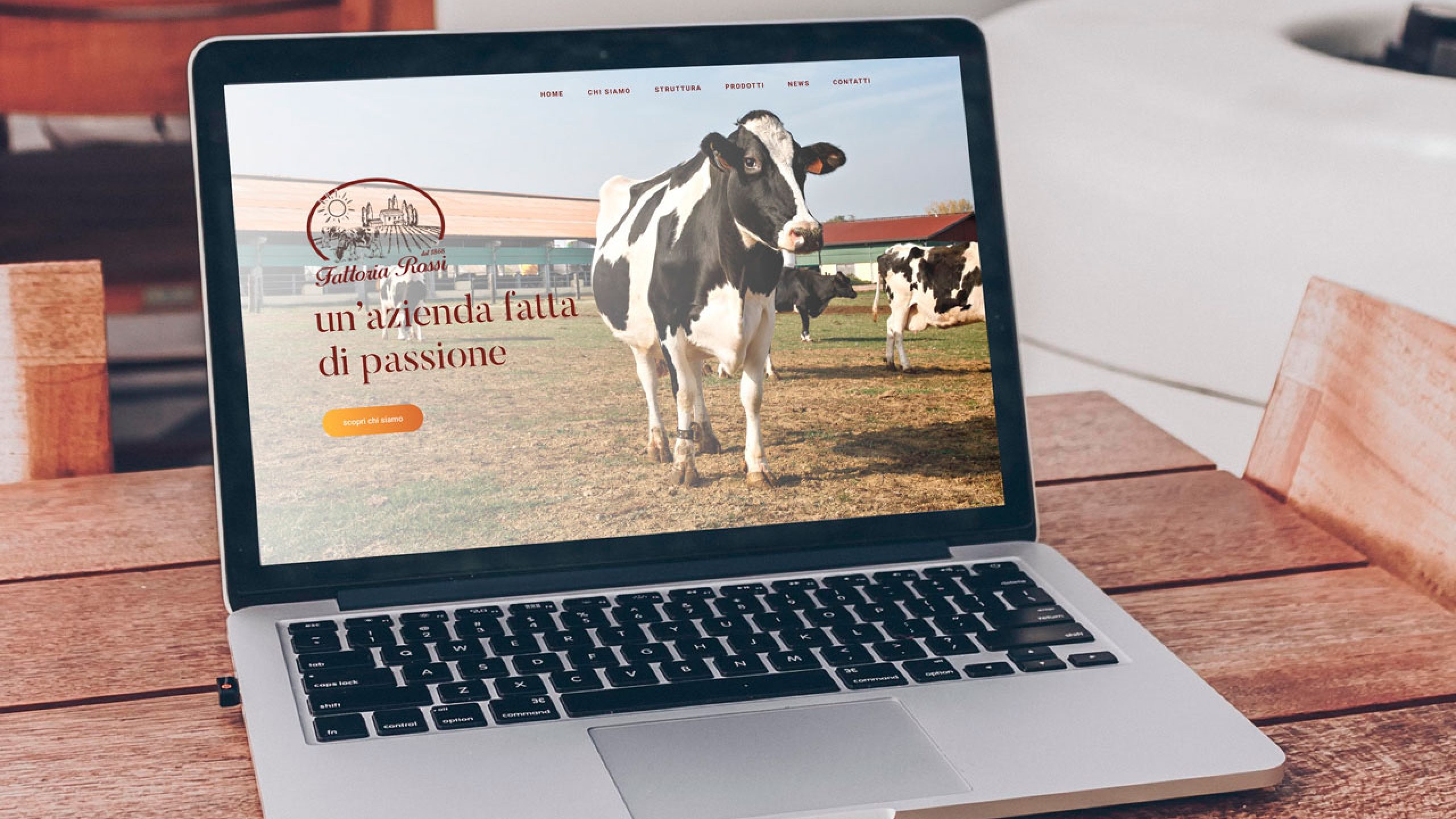 Image 2 gallery page discover