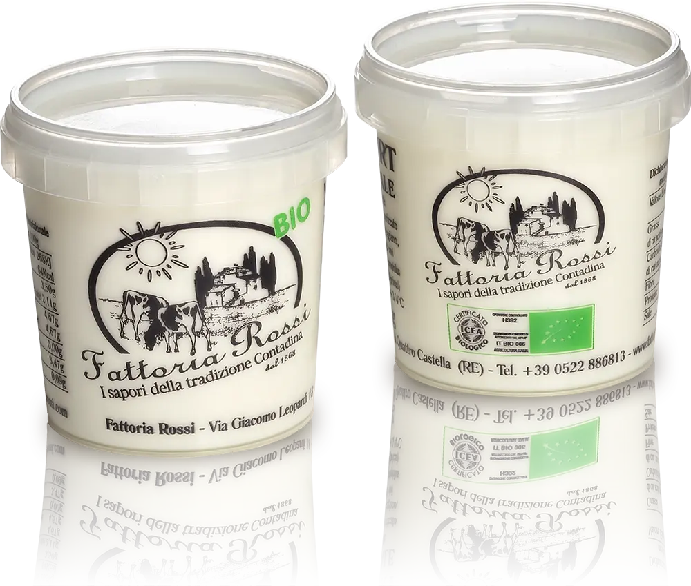 Yogurt Intero Naturale Biologico 150 gr