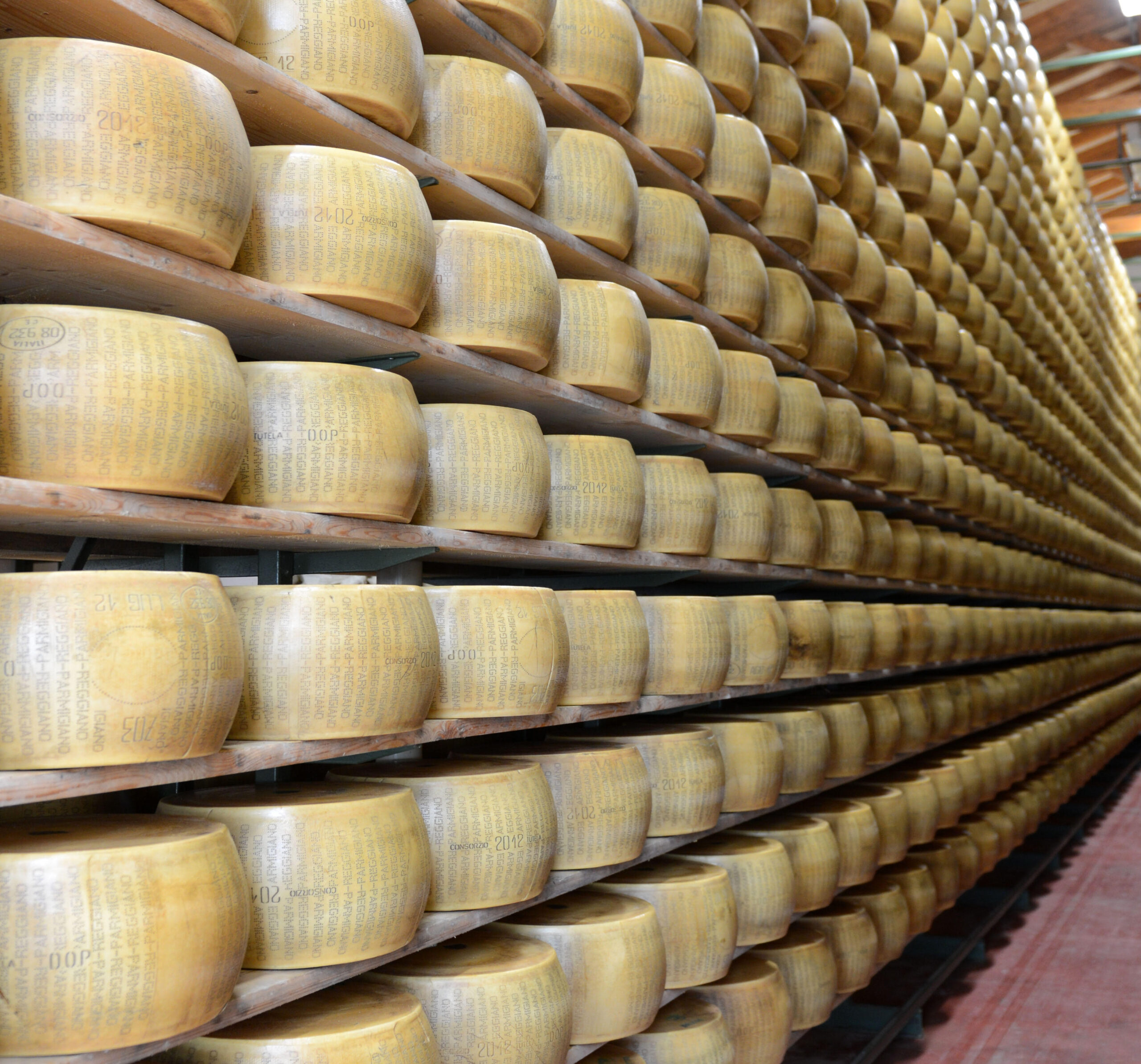 La Fattoria - Fattoria Rossi