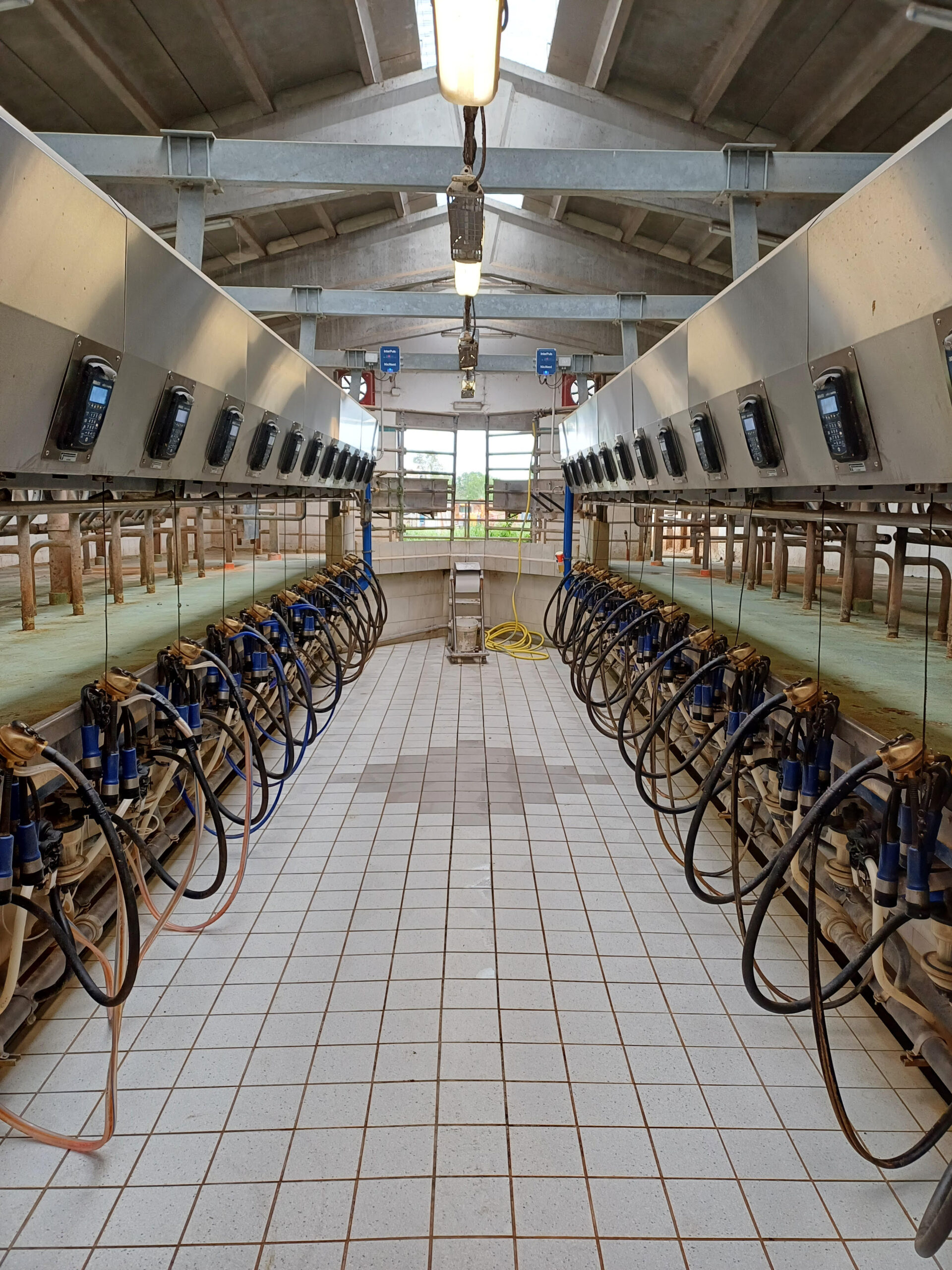 La Fattoria - Fattoria Rossi