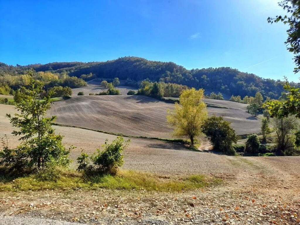 Vallata Fattoria Rossi