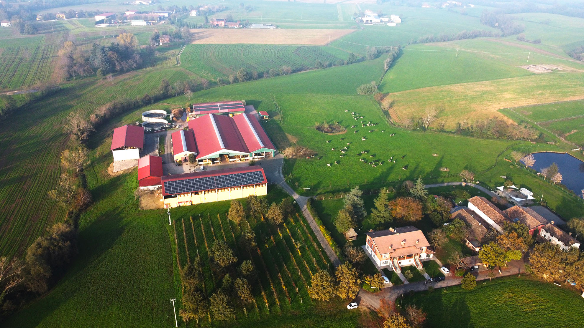 Fotovoltaico Fattoria Rossi