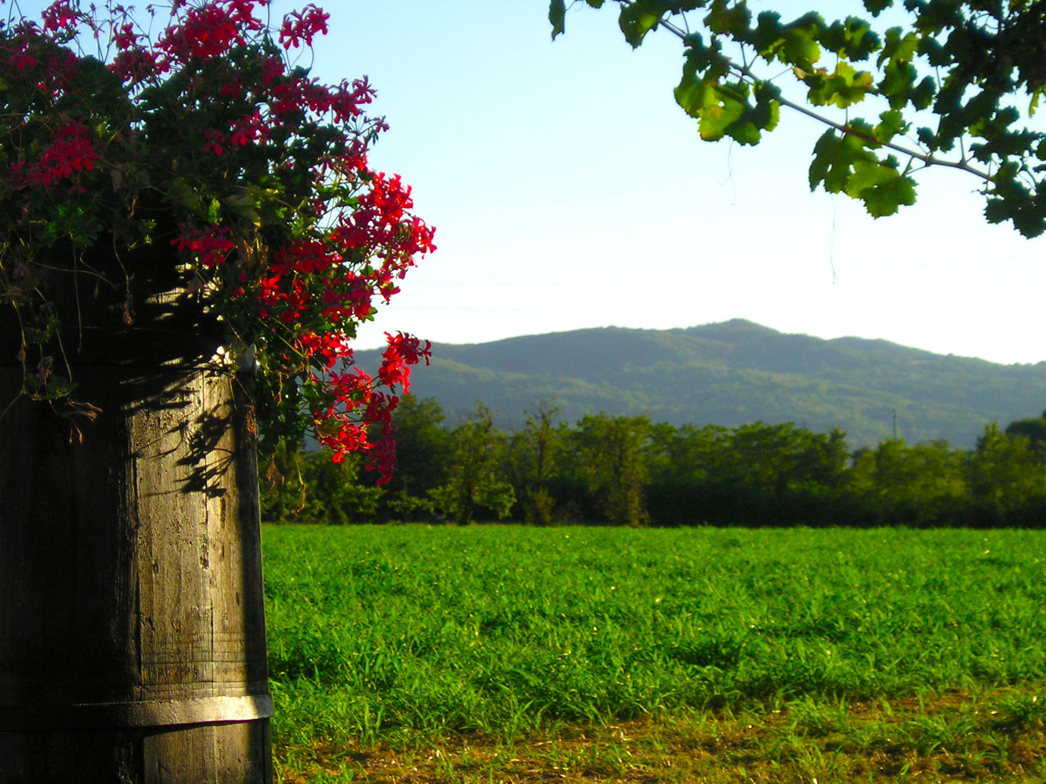 Territorio Gustare Fattoria Rossi