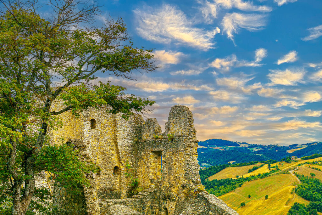 Territorio Scoprire Fattoria Rossi