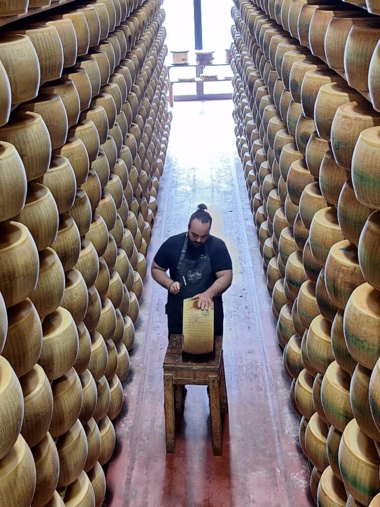 An expert inspects a wheel of Parmigiano Reggiano in an aging warehouse, surrounded by rows of stacked wheels