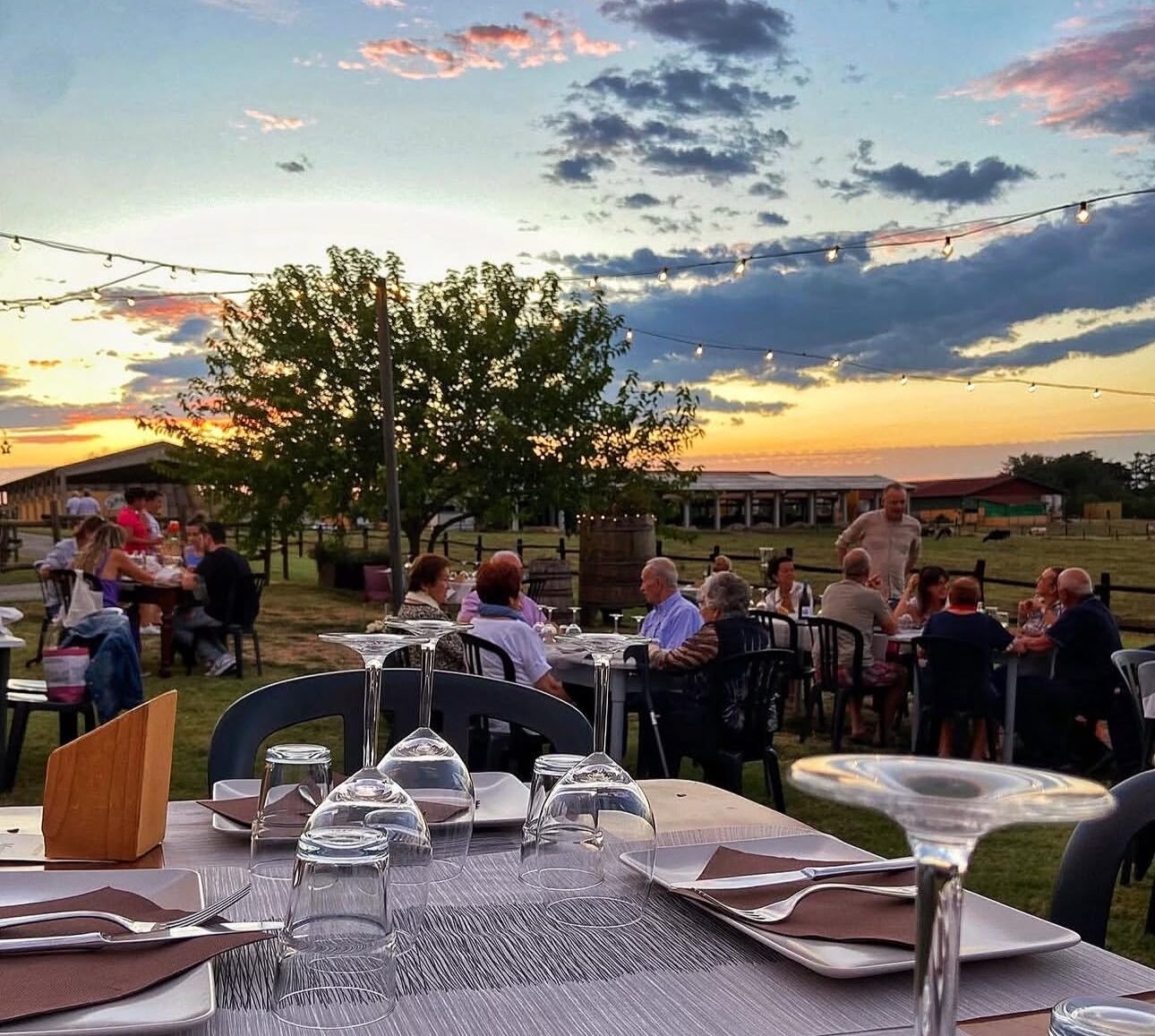 Aperitifs and Dinner on the Farm - Fattoria Rossi
