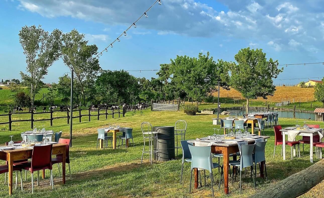 Aperitifs and Dinner on the Farm - Fattoria Rossi